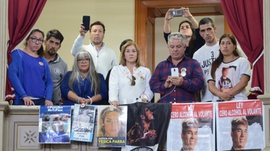 El Senado avanzó con la ley de Tolerancia 0 de alcohol