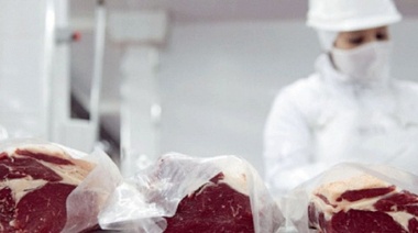 Destacan el aumento en las exportaciones de carne