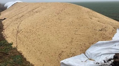 Productores bonaerenses se organizan para custodiar los silos bolsas