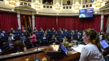 El Senado prepara la votación para el Presupuesto