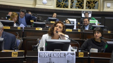 González: "El gobierno bonaerense no dio respuestas sobre los recortes al Astilleros"