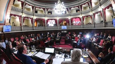 El Senado aprobó la reforma de la Ley de Adopción