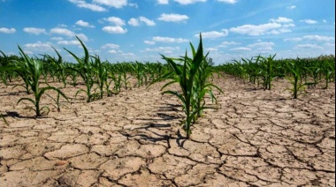 Provincia declaró el estado de emergencia agropecuaria para 33 municipios