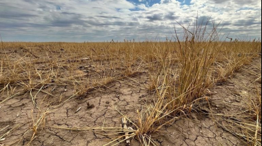 Nación declara la emergencia agropecuaria en casi 20 distritos bonaerenses