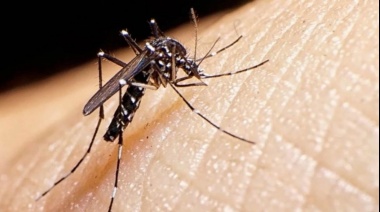 Investigan posible brote de chikungunya en la Provincia