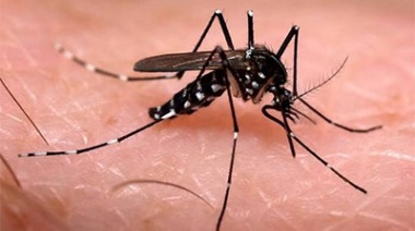 Chivilcoy refuerza acciones para controlar el brote de dengue