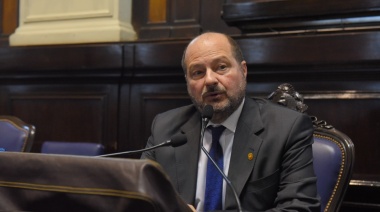 "Con Alfonsín, NO"