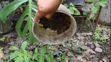 Dengue: Piden reforzar el descacharreo domiciliario