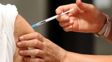 Buscan que la vacuna contra el dengue se sume al calendario de la Provincia
