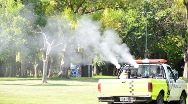 Continúan los trabajos de fumigación en la ciudad