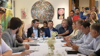 Mosca resaltó la "pluralidad" de la Bicameral, que avanza con el desdoblamiento