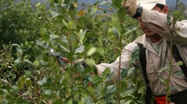 Yerbateros lanzan un paro que pone en peligro el abastecimiento