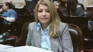 Ficha Limpia: Litza pidió que “los evasores tampoco sean candidatos”