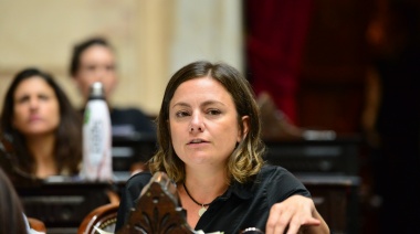 Siley destrozó el proyecto del Gobierno: “Si les interesara, agarrarían la Constitución”