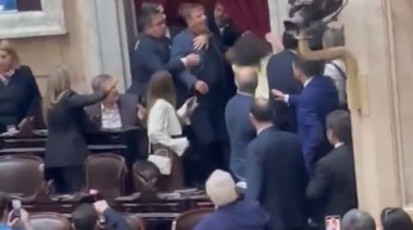 Escándalo en el Congreso: Diputados libertarios a las piñas para levantar la sesión