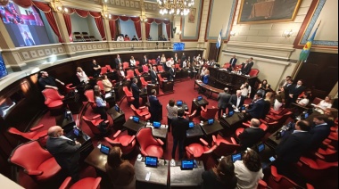 El Senado conmemoró el Día de la Memoria con silencio libertario