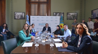 El cristinismo y libertarios avanzan con la reelección indefinida para legisladores