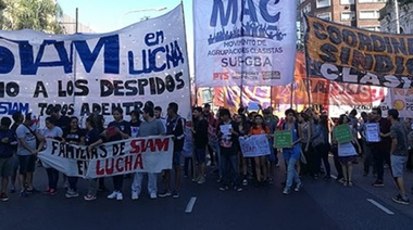 El desempleo en caída libre