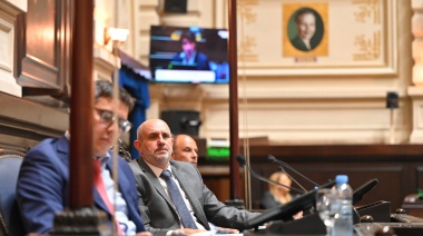 Alexis Guerrera habló de “un Poder Judicial doblegado” por la condena a Cristina