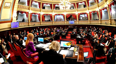 El cristinismo mueve fichas y exige que se vote la nueva conducción del Senado