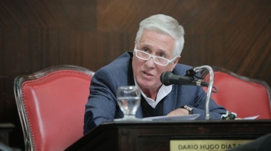 "No nos mientan más", el pedido de Díaz Pérez a Vidal