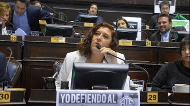 Susana González le reclamó a Vidal por la Emergencia Educativa