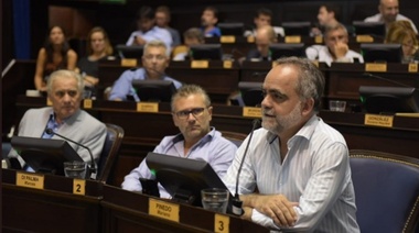 Pinedo pidió al gobierno que "pasen a nafta la gestión"