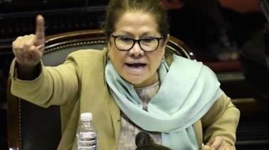 ¿Camaño será la candidata a Gobernadora de Lavagna?