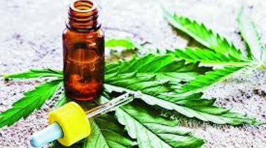 Farmacias facilitarán el acceso al cannabis medicinal