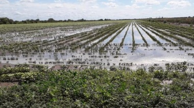 Se extiende Emergencia Agropecuaria para Trenque Lauquen