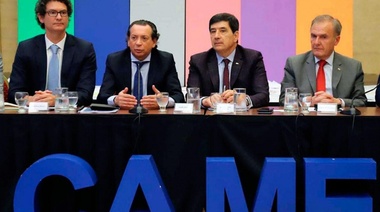 Alberto Fernández le bajó el pulgar a la conducción macrista de Came