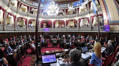 Los senadores saltaron la grieta por la Crisis Sanitaria