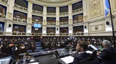 Agenda de trabajo remoto en las comisiones de la Cámara de Diputados