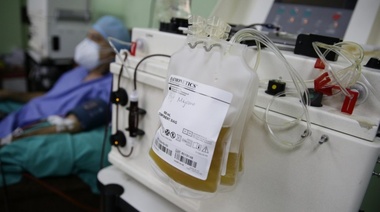 El Gobierno bonaerense oficializó la ley de donación de plasma