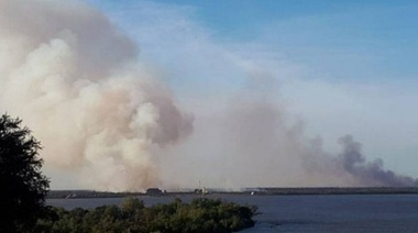 Declaran la emergencia ambiental en el Delta del Río Paraná