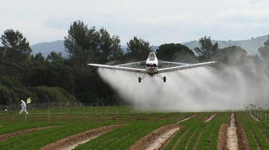 En Provincia prorrogan la suspensión de la aplicación de agroquímicos