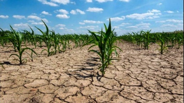 Crece la preocupación en la Provincia por las sequías