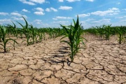 Crece la preocupación en la Provincia por las sequías
