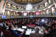 El Senado aprobó la reforma de la Ley de Adopción