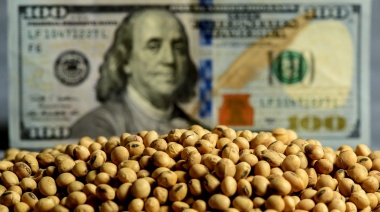 El campo apuntó contra el Banco Central tras la nueva restricción cambiaria