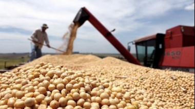 Productores sojeros vendieron más de 6,5 millones de toneladas en una semana