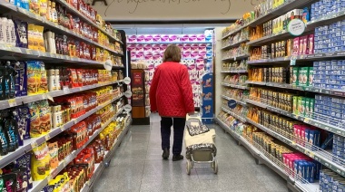 La inflación de noviembre trepó al 12,8%