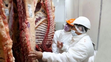 Desmienten que haya un cierre de exportaciones de carne por 15 días