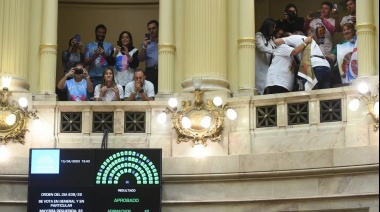 El Senado aprobó la Ley Lucio: ¿En qué consiste?