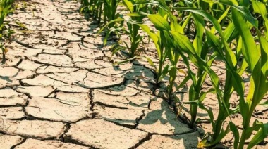 Emergencia Agropecuaria: Kicillof benefició a más municipios