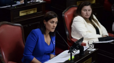 “No al poder eterno”: El Frente Renovador se volvió a plantar contra la reelección sin límites
