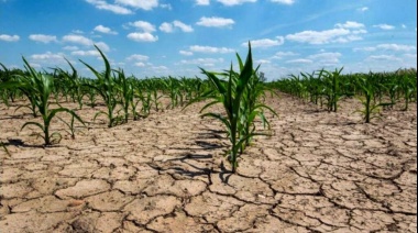 Efecto sequía: Los créditos para productores bonaerenses superan los 5 mil millones