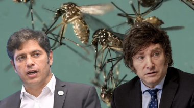 Sube la temperatura entre Kicillof y Milei por la epidemia del dengue