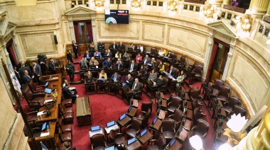 El radicalismo no bajó al recinto y se cayó la sesión por los Fondos Universitarios