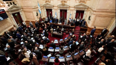 El Senado aprobó el paquete fiscal en general, pero le bajó el pulgar a dos capítulos